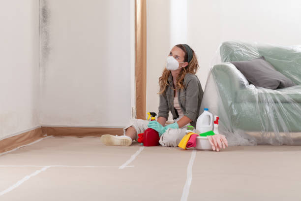 Reliable Mold Cleanup contractor in Waverly, VA by Cheap Mold Removal